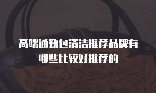 高端通勤包清洁推荐品牌有哪些比较好推荐的