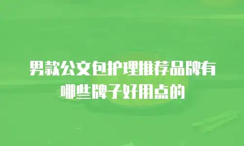 男款公文包护理推荐品牌有哪些牌子好用点的