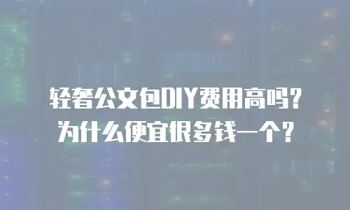 轻奢公文包DIY费用高吗？为什么便宜很多钱一个？