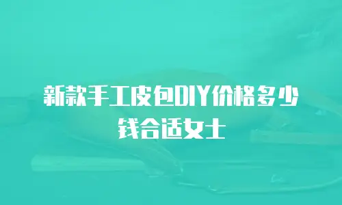新款手工皮包DIY价格多少钱合适女士