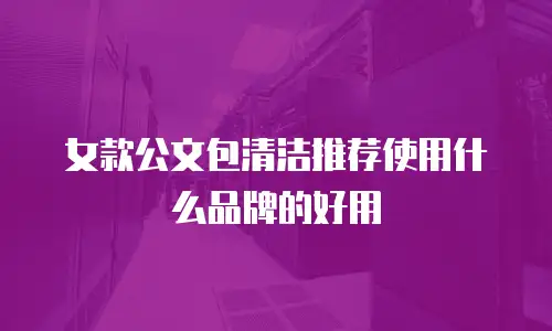 女款公文包清洁推荐使用什么品牌的好用