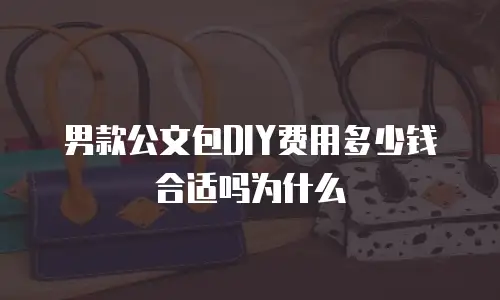 男款公文包DIY费用多少钱合适吗为什么