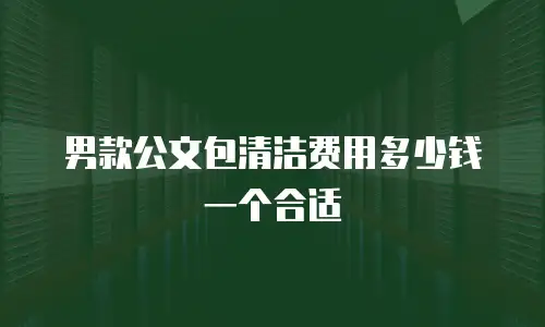 男款公文包清洁费用多少钱一个合适