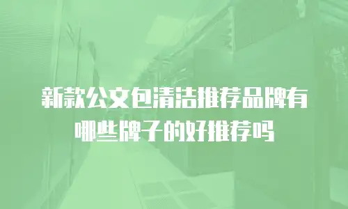 新款公文包清洁推荐品牌有哪些牌子的好推荐吗
