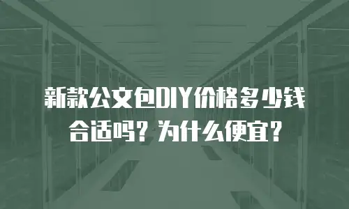 新款公文包DIY价格多少钱合适吗？为什么便宜？