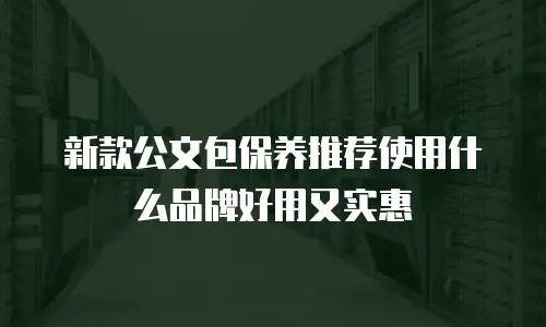 新款公文包保养推荐使用什么品牌好用又实惠