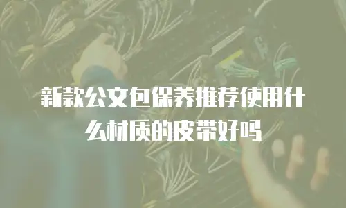 新款公文包保养推荐使用什么材质的皮带好吗