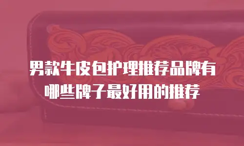 男款牛皮包护理推荐品牌有哪些牌子最好用的推荐