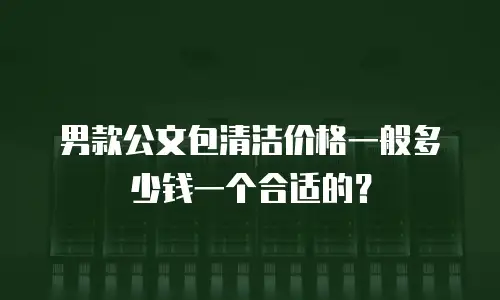 男款公文包清洁价格一般多少钱一个合适的？