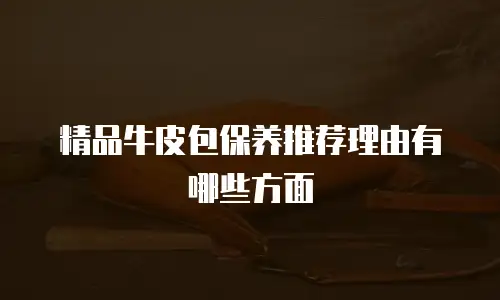 精品牛皮包保养推荐理由有哪些方面