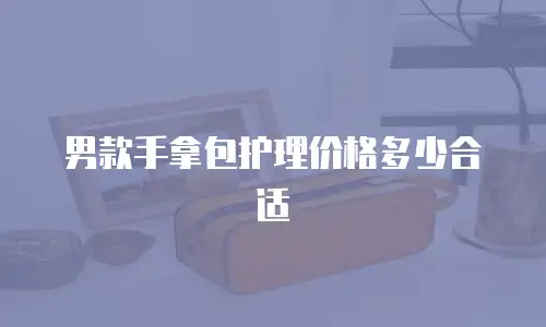男款手拿包护理价格多少合适