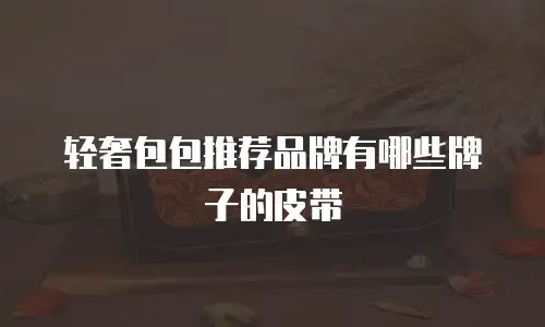 轻奢包包推荐品牌有哪些牌子的皮带