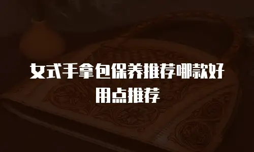 女式手拿包保养推荐哪款好用点推荐