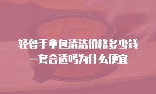 轻奢手拿包清洁价格多少钱一套合适吗为什么便宜