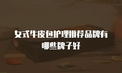 女式牛皮包护理推荐品牌有哪些牌子好