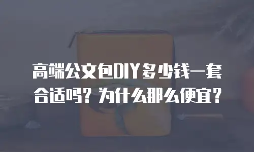高端公文包DIY多少钱一套合适吗？为什么那么便宜？