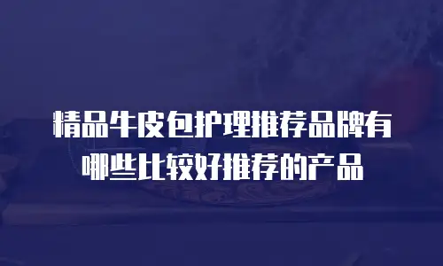 精品牛皮包护理推荐品牌有哪些比较好推荐的产品