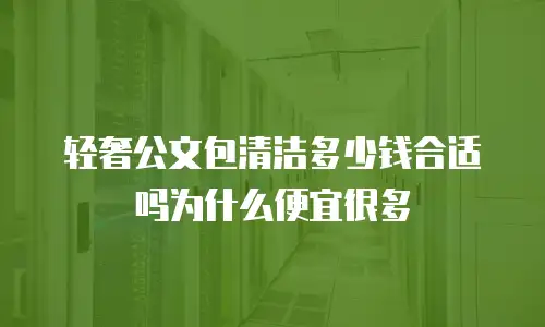 轻奢公文包清洁多少钱合适吗为什么便宜很多