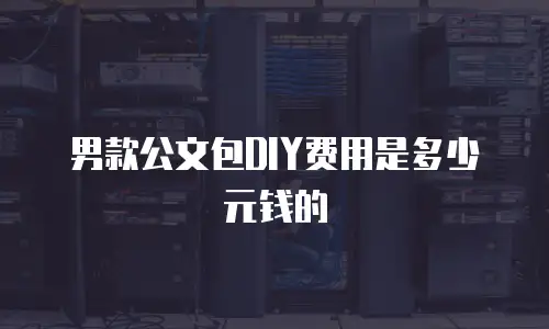 男款公文包DIY费用是多少元钱的