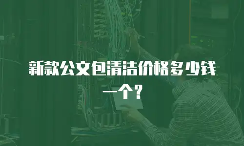 新款公文包清洁价格多少钱一个？