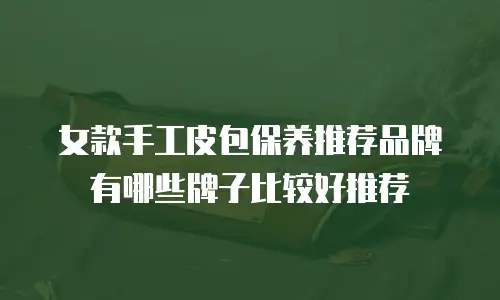 女款手工皮包保养推荐品牌有哪些牌子比较好推荐