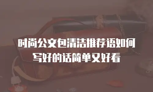 时尚公文包清洁推荐语如何写好的话简单又好看