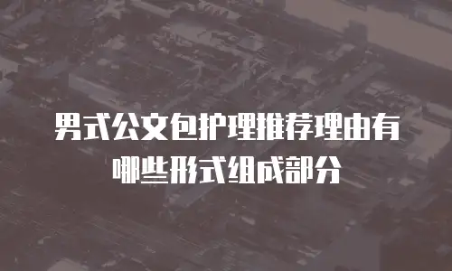 男式公文包护理推荐理由有哪些形式组成部分