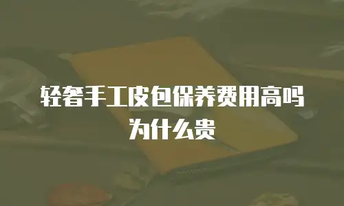 轻奢手工皮包保养费用高吗为什么贵