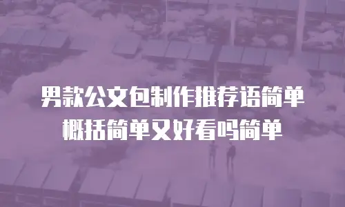 男款公文包制作推荐语简单概括简单又好看吗简单