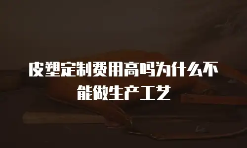 皮塑定制费用高吗为什么不能做生产工艺