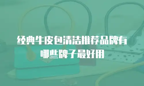 经典牛皮包清洁推荐品牌有哪些牌子最好用