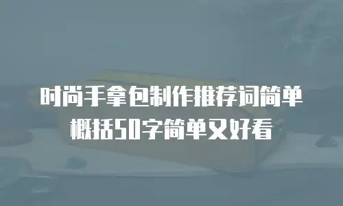 时尚手拿包制作推荐词简单概括50字简单又好看
