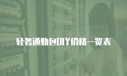 轻奢通勤包DIY价格一览表