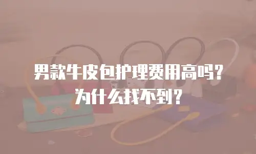 男款牛皮包护理费用高吗？为什么找不到？