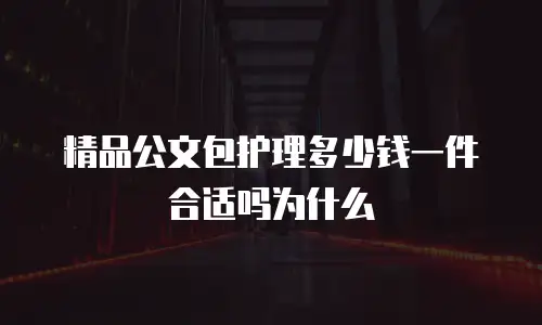 精品公文包护理多少钱一件合适吗为什么