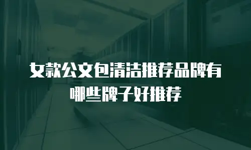 女款公文包清洁推荐品牌有哪些牌子好推荐