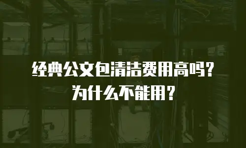 经典公文包清洁费用高吗？为什么不能用？