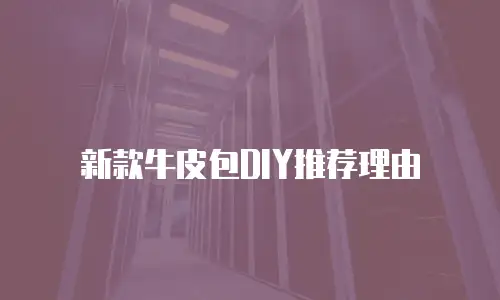 新款牛皮包DIY推荐理由