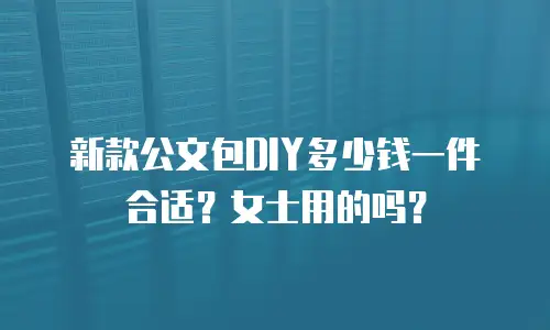 新款公文包DIY多少钱一件合适？女士用的吗？