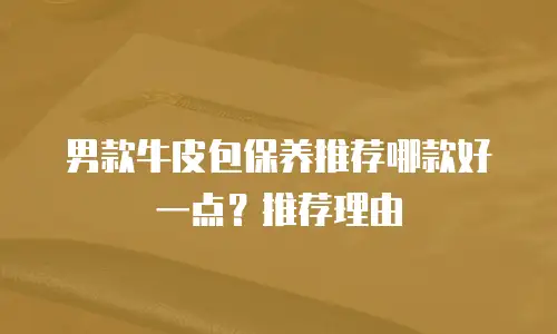 男款牛皮包保养推荐哪款好一点？推荐理由