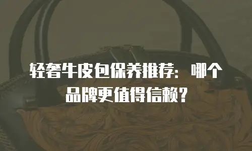 轻奢牛皮包保养推荐：哪个品牌更值得信赖？