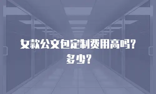 女款公文包定制费用高吗？多少？
