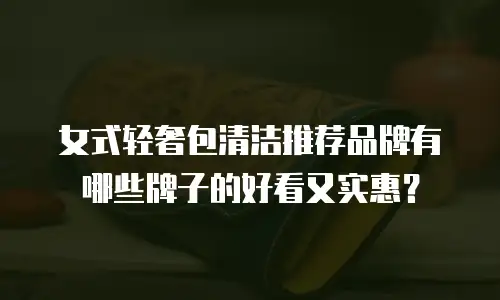 女式轻奢包清洁推荐品牌有哪些牌子的好看又实惠？