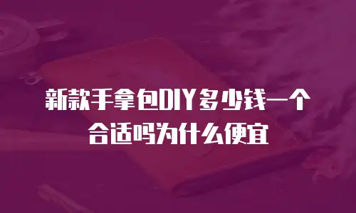 新款手拿包DIY多少钱一个合适吗为什么便宜