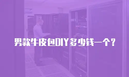 男款牛皮包DIY多少钱一个？