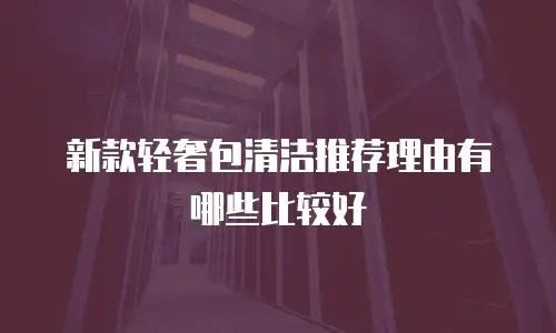 新款轻奢包清洁推荐理由有哪些比较好