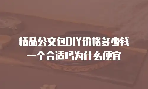 精品公文包DIY价格多少钱一个合适吗为什么便宜