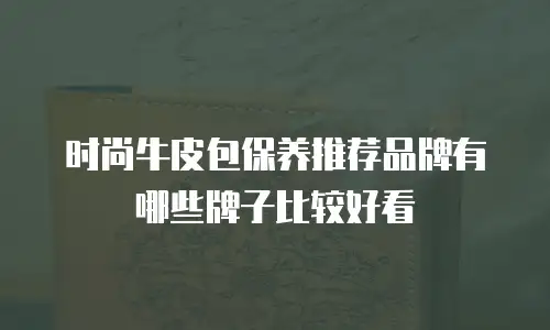 时尚牛皮包保养推荐品牌有哪些牌子比较好看