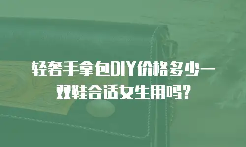 轻奢手拿包DIY价格多少一双鞋合适女生用吗？