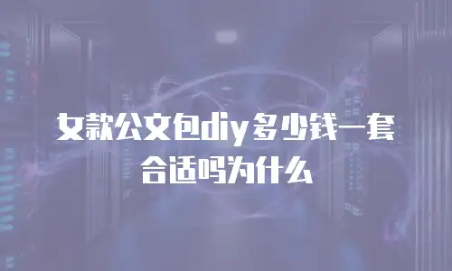 女款公文包diy多少钱一套合适吗为什么